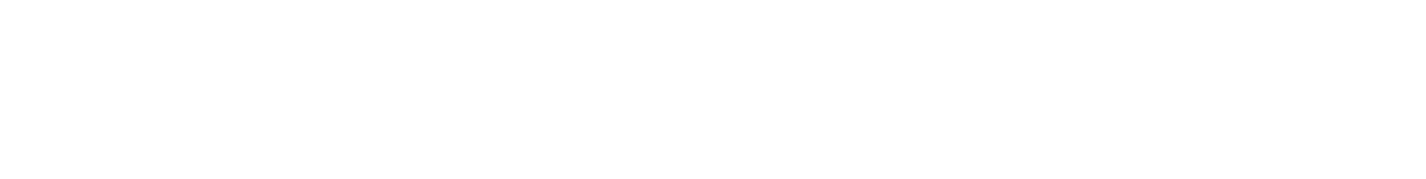 ConnectVPN